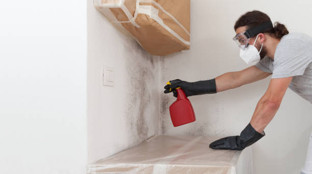 Professional Crawl Space Mold Removal technician working in Belford, NJ