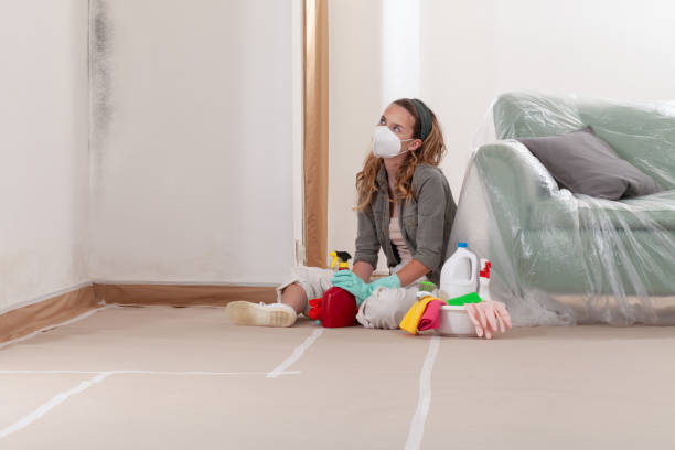 Reliable Crawl Space Mold Removal contractor in Belford, NJ by WQB Mold Removal